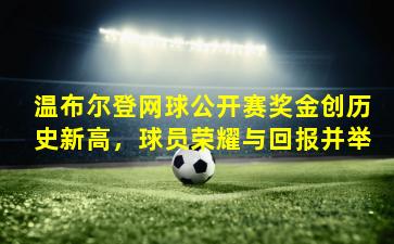 温布尔登网球公开赛奖金创历史新高，球员荣耀与回报并举