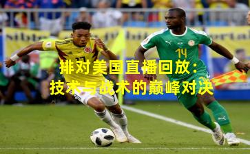 排对美国直播回放：技术与战术的巅峰对决