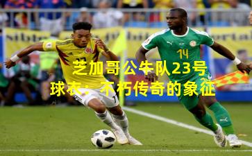 芝加哥公牛队23号球衣:不朽传奇的象征