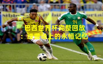 巴西世界杯完整回放：绿茵场上的永恒记忆