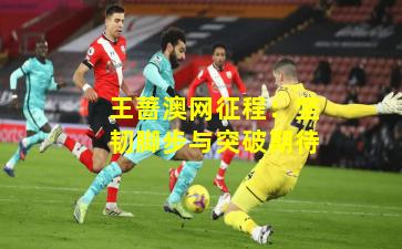 王蔷澳网征程：坚韧脚步与突破期待